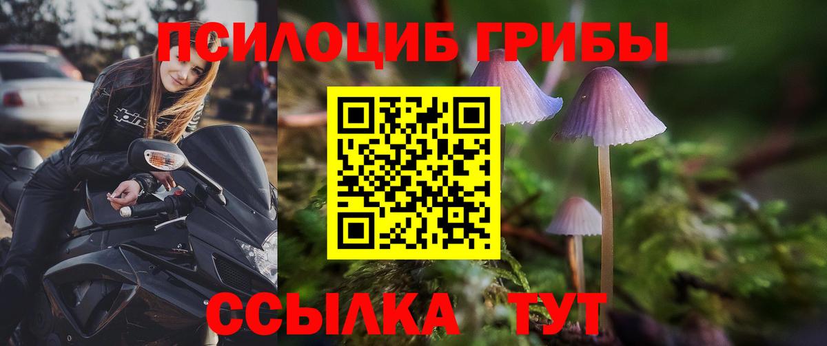 продажа наркотиков  Вход с VPN  Дербент  Галлюциногенные грибы мухоморы  Псилоцибиновые грибы Psilocybe 