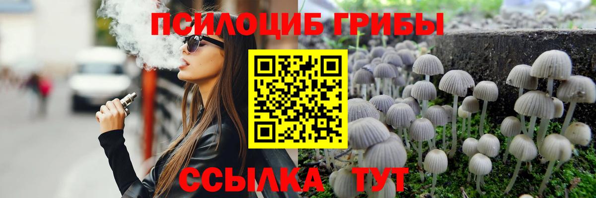 Галлюциногенные грибы Psilocybe Дербент